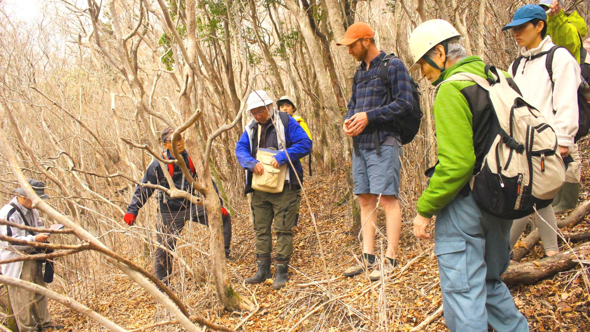 風力発電問題へのサポートについて