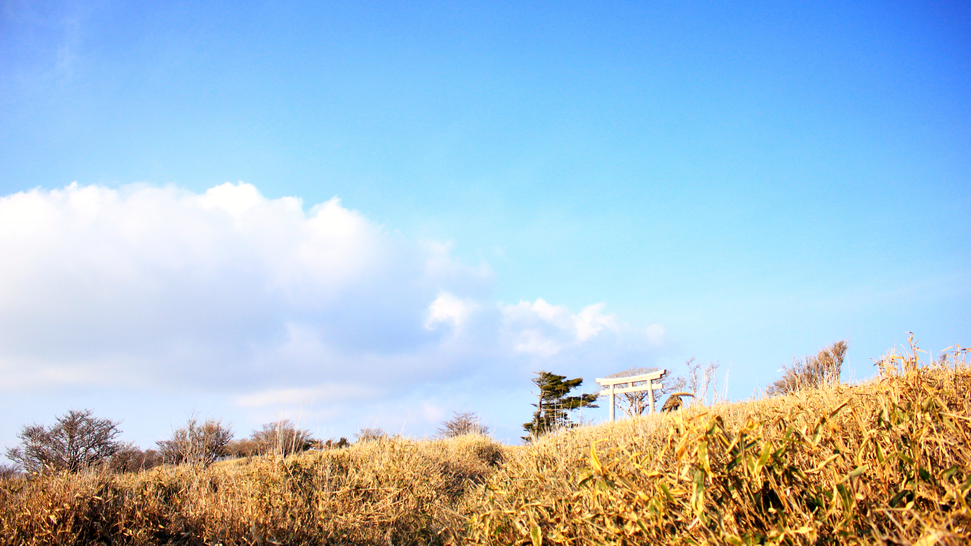 高知県の風車事業